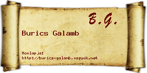Burics Galamb névjegykártya